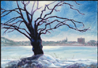 Back Bay Winter