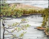 Clifford Pond