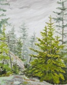 Evan's Notch