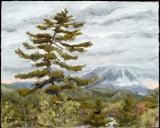 Katahdin & Pine