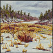 lilly pond winter