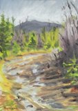 Lost in the Maine Woods