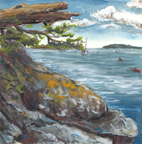 Rockport Harbor