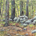Tarbox Woods & Wall