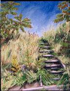 Trail Ladder at Spring Point