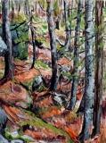 near katahdin streaml