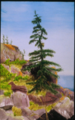 Cliff Trail between the Whiteheads