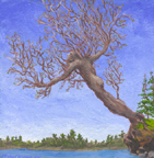 Branching Out